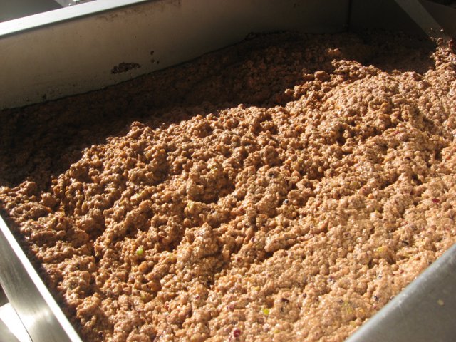 Elaboración del aceite de oliva extra virgen 